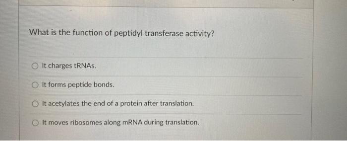 Solved What is the function of peptidyl transferase | Chegg.com