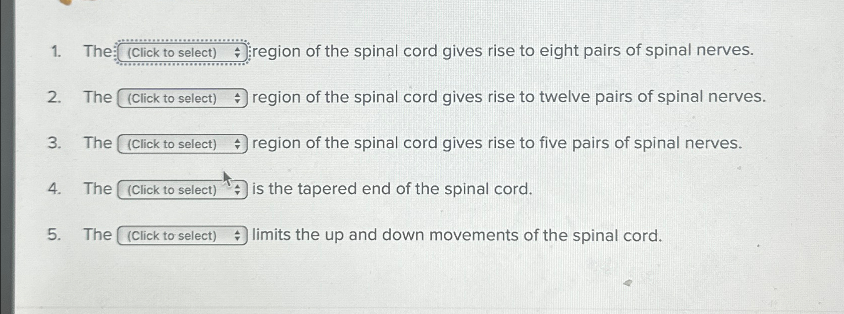 Solved The ﻿region of the spinal cord gives rise to eight | Chegg.com