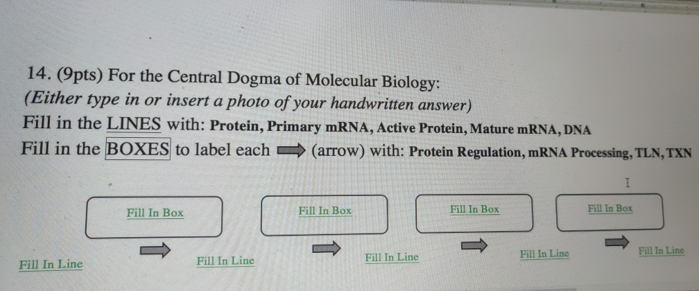 Solved 14. (9pts) For the Central Dogma of Molecular | Chegg.com