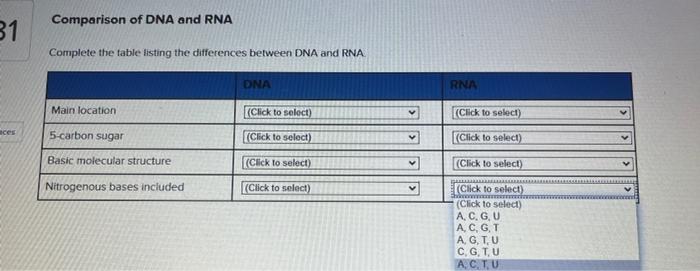 Solved Comparison of DNA and RNA Complete the table listing | Chegg.com