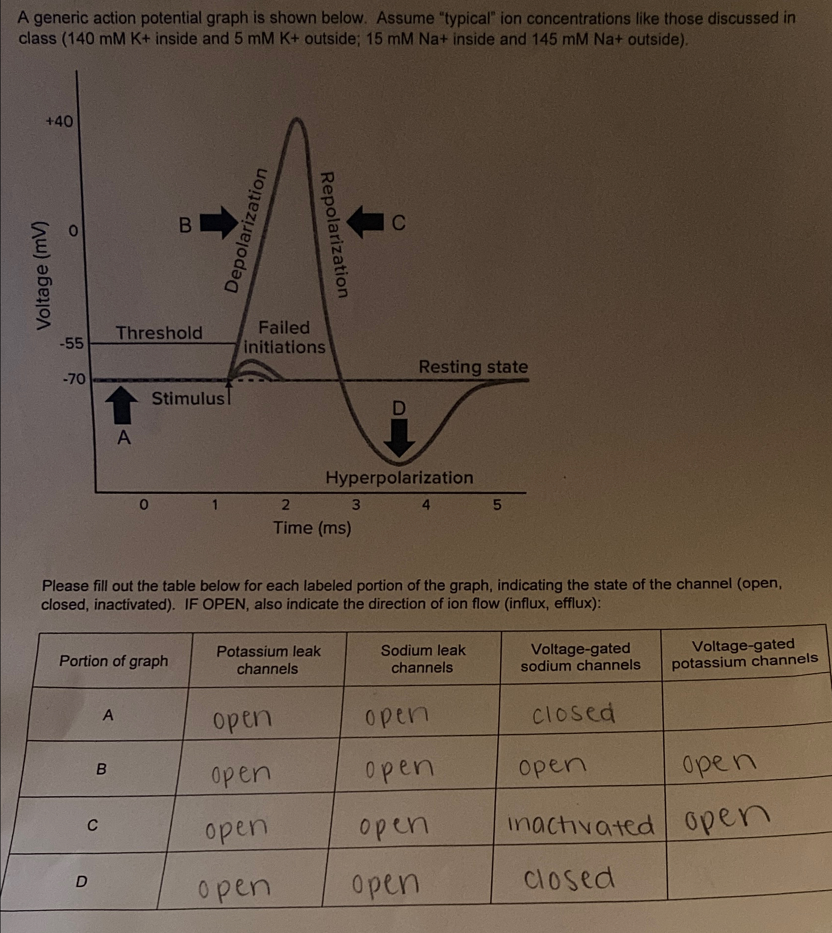 Solved A generic action potential graph is shown below. | Chegg.com