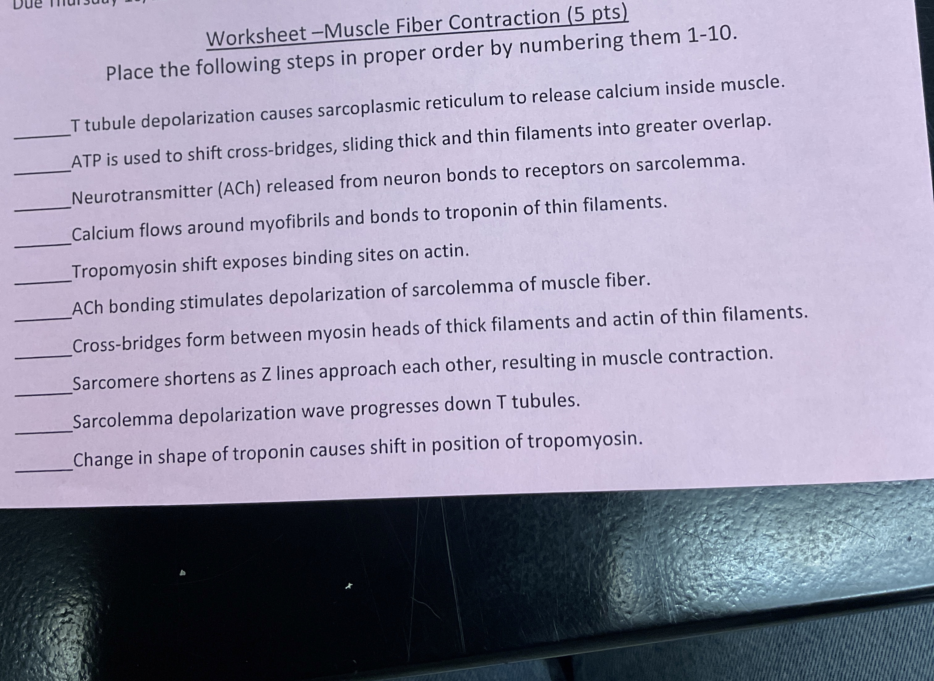Solved Worksheet Muscle Fiber Contraction (5 ﻿pts)Place the