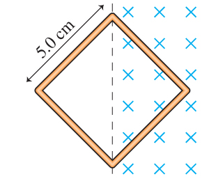 Solved The right half of the square loop of wire shown in | Chegg.com