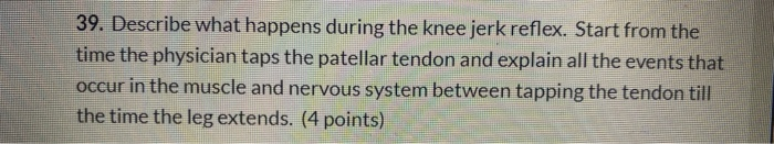 Solved 39. Describe What Happens During The Knee Jerk | Chegg.com