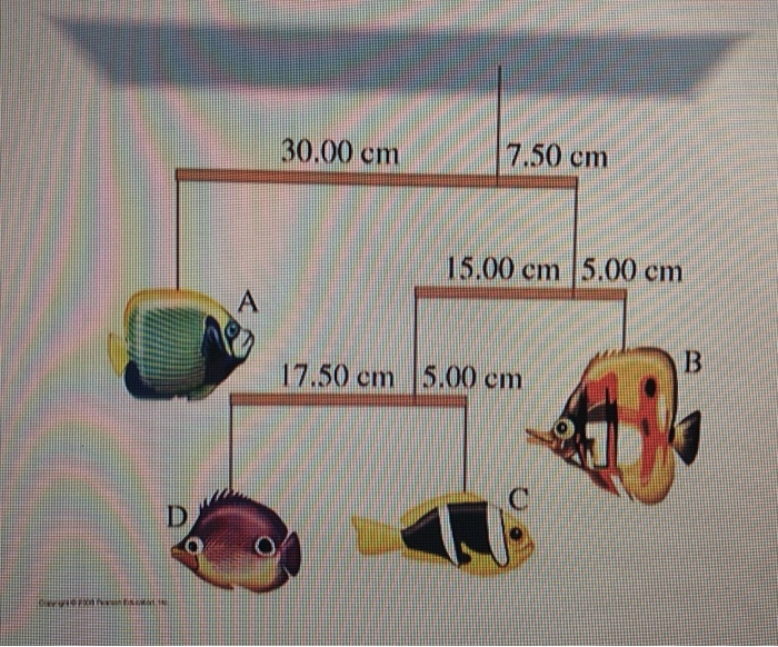 Solved The following system is in static equilibrium. If | Chegg.com