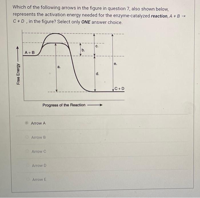 Solved Which of the following arrows in the figure in | Chegg.com