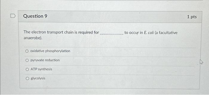 Solved The electron transport chain is required for to occur | Chegg.com