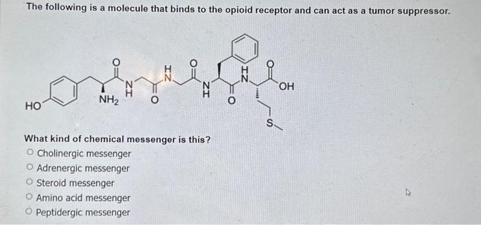 Solved The following is a molecule that binds to the opioid | Chegg.com