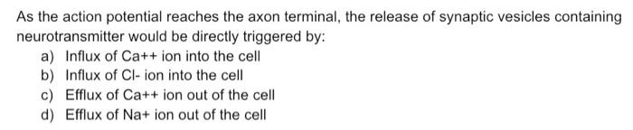 when an action potential reaches the axon terminal tiny vesicles containing