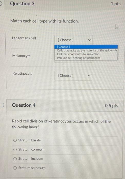 Match each cell type with its function.
Langerhans cell
Melanocyte
Keratinocyte
Question 4
\( 0.5 \mathrm{pts} \)
Rapid cell 