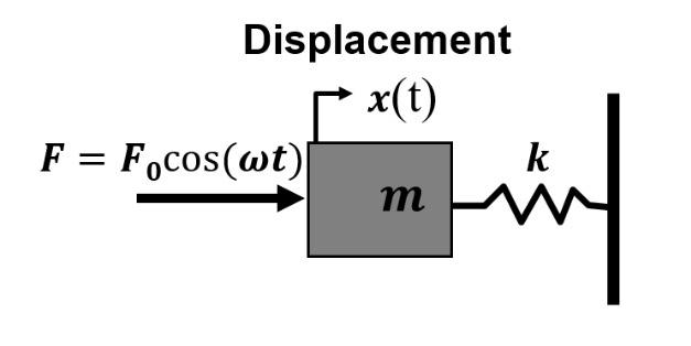 Solved Consider the mass spring system shown in the figure | Chegg.com
