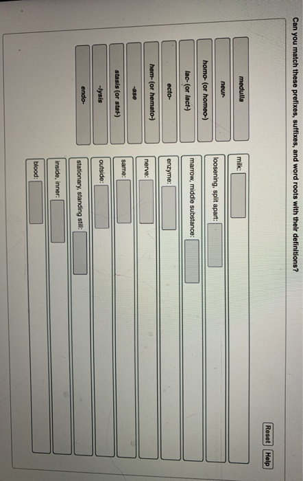 solved-can-you-match-these-prefixes-suffixes-and-word-chegg