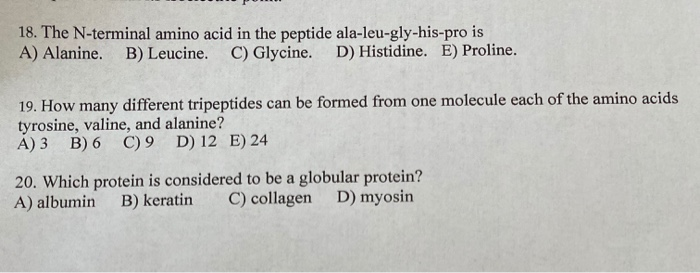 Solved 18. The N-terminal amino acid in the peptide | Chegg.com