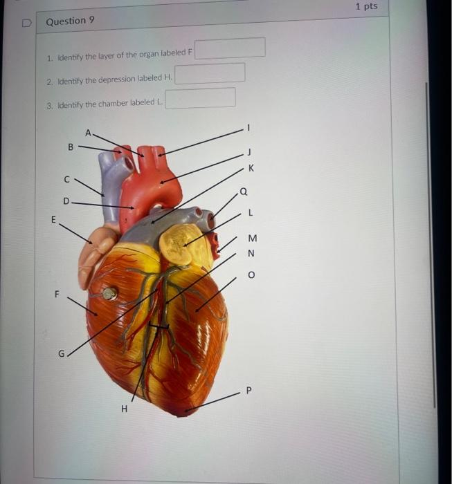 student submitted image, transcription available below