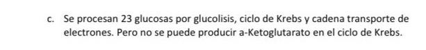 c. Se procesan 23 glucosas por glucolisis, ciclo de Krebs y cadena transporte de electrones. Pero no se puede producir a-Keto