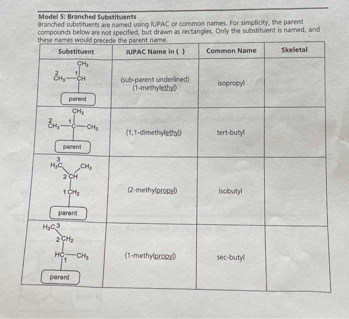 Solved Model 5: Branched Substituents Branched substituents | Chegg.com