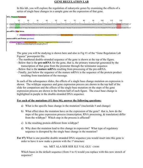 In this lab, you will explore the regulation of | Chegg.com