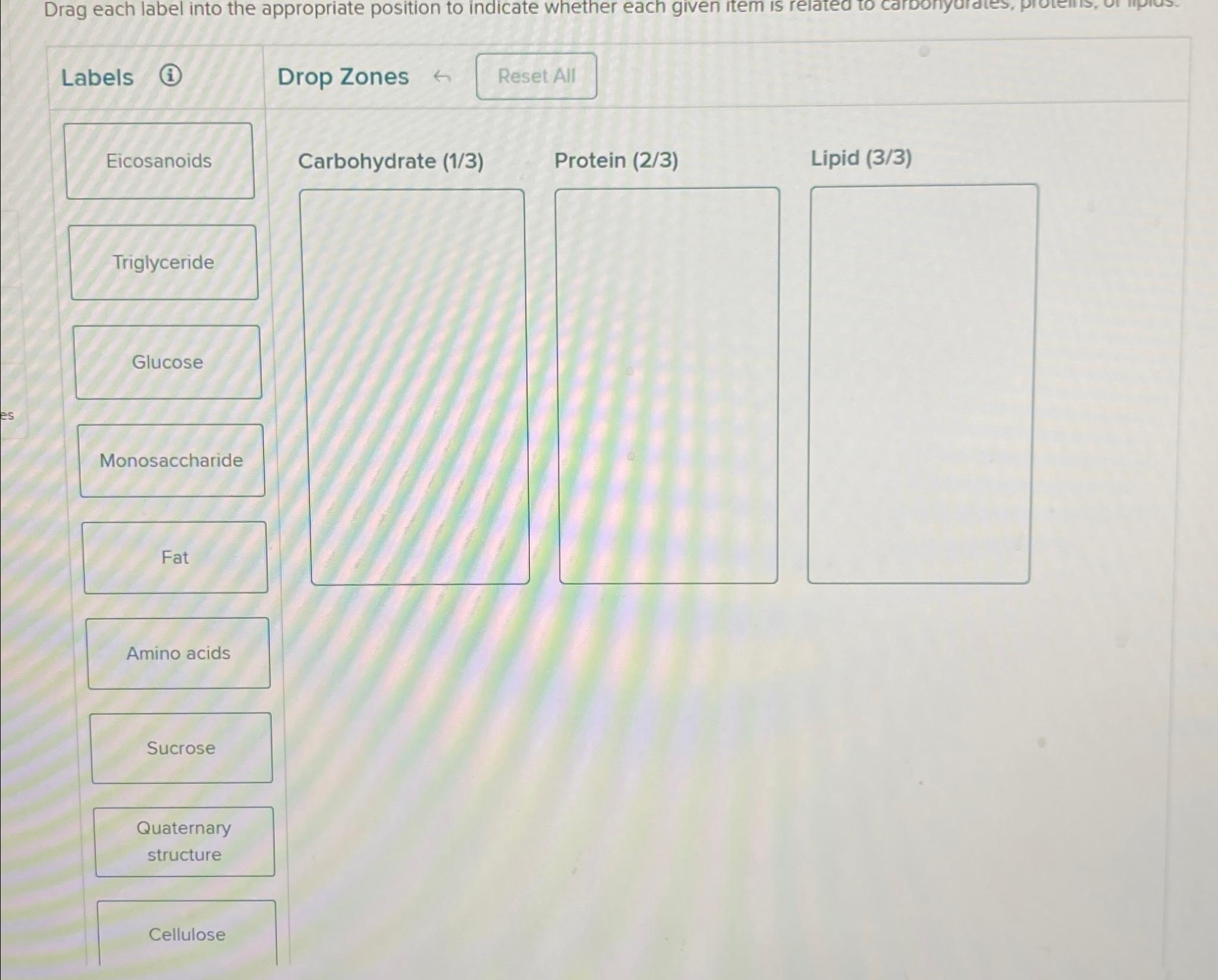 Solved Drag each label into the appropriate position to | Chegg.com