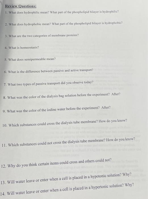 Solved Review Questions: 1. What does hydrophilic mean? What | Chegg.com