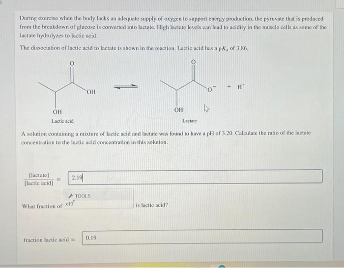 During exercise when the body lacks an adequate supply of oxygen to support energy production, the pyruvate that is produced 