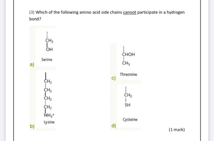 Solved (3) Which of the following amino acid side chains | Chegg.com