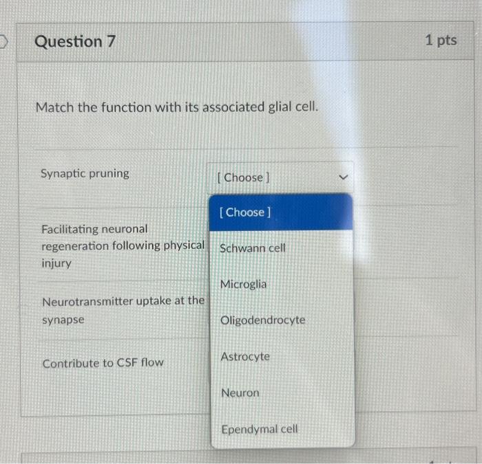 Solved Match the function with its associated glial cell. | Chegg.com