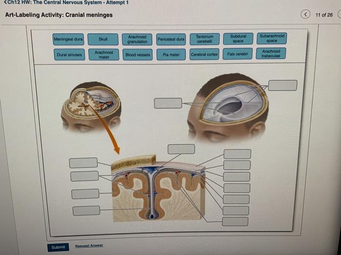 Solved just label it | Chegg.com