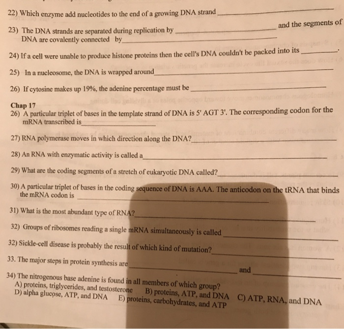 Solved 22) Which enzyme add nucleotides to the end of a | Chegg.com