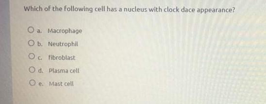 Solved Which of the following cell has a nucleus with clock | Chegg.com