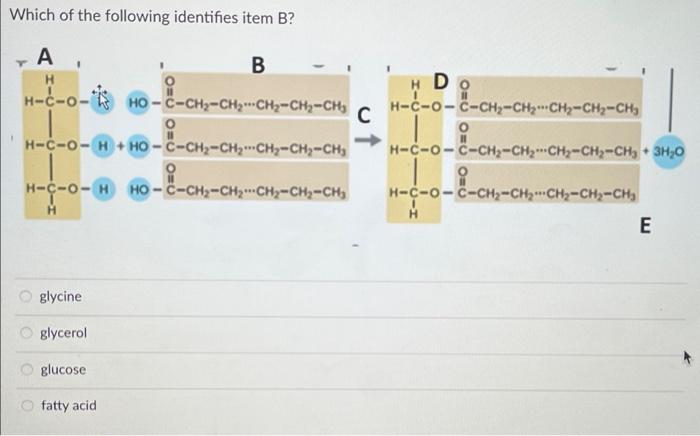 Solved Which of the following identifies item B? # Do A B H | Chegg.com