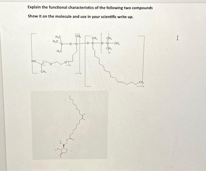 Explain the functional characteristics of the | Chegg.com