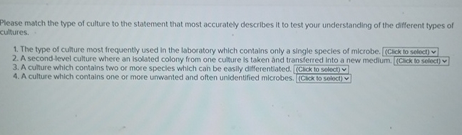 Solved Please match the type of culture to the statement | Chegg.com
