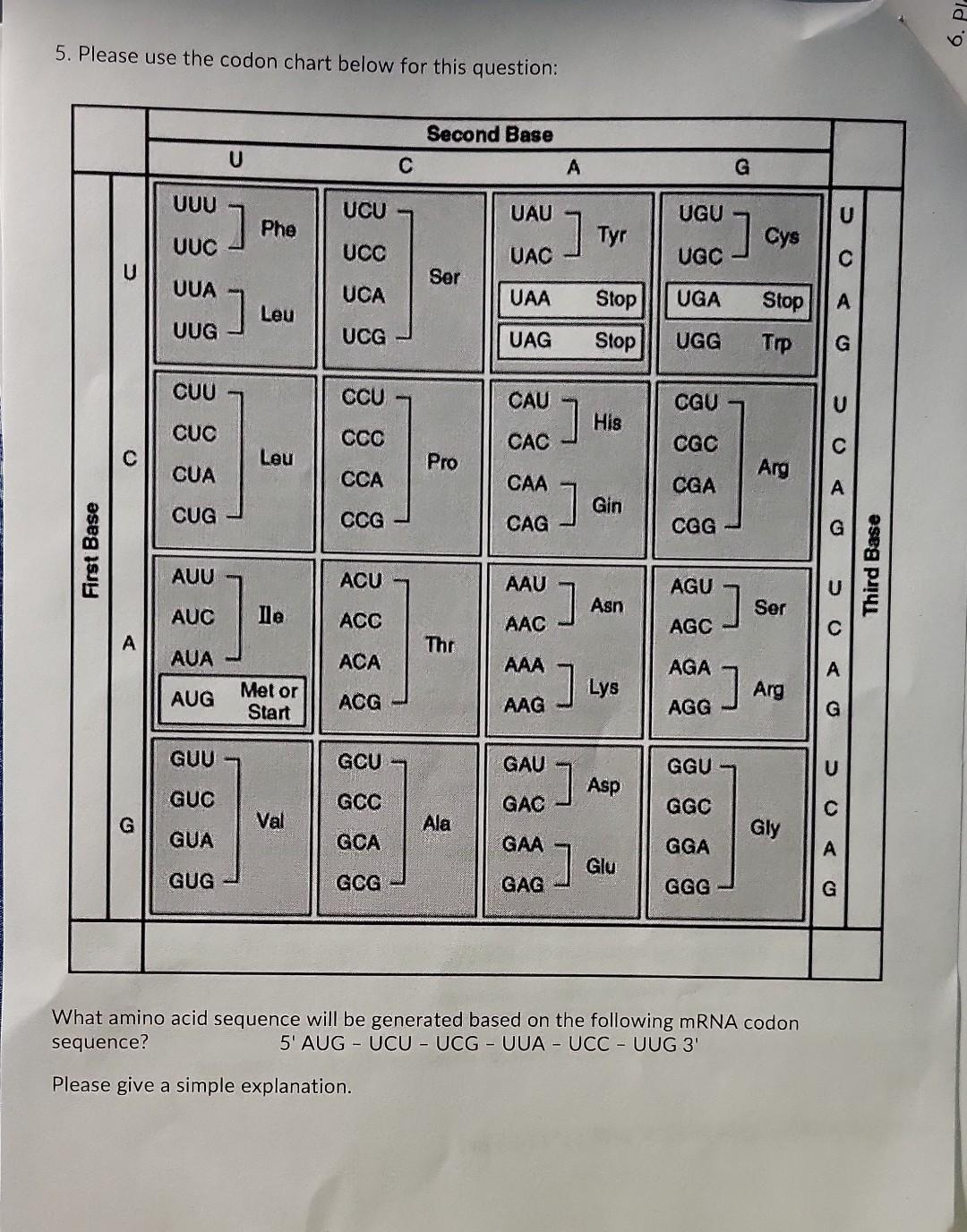 Solved 5. Please use the codon chart below for this