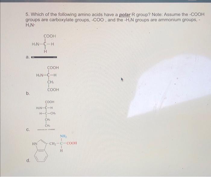 Solved 5. Which of the following amino acids have a polar R