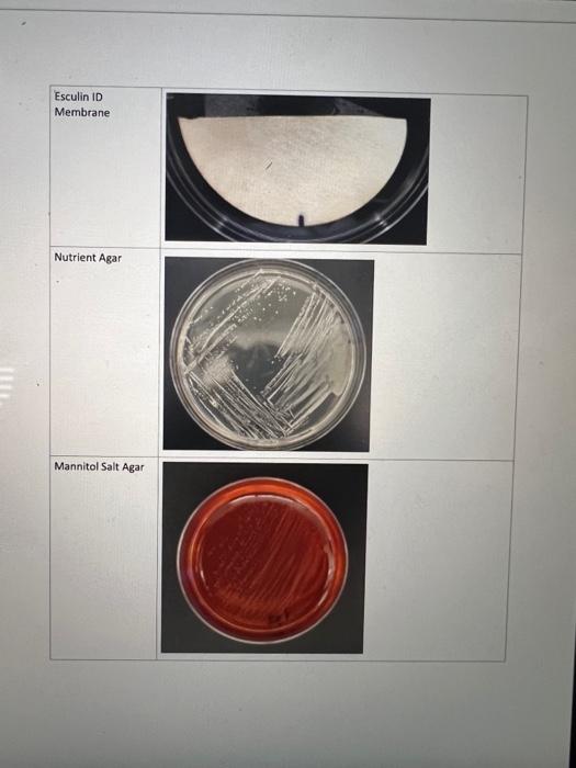 Solved Unknown \#1 | Chegg.com