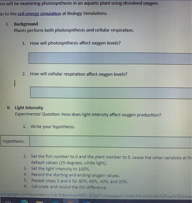 experimental variables worksheet photosynthesis in an aquatic plant answers