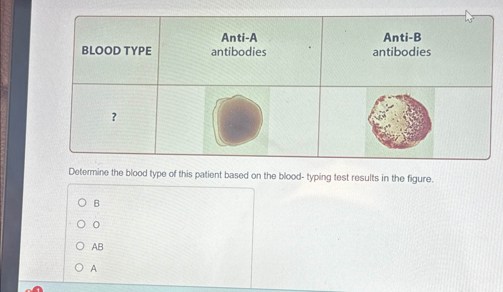 what-is-blood-typing-2-classwork-what-is-blood-typing-blood-typing