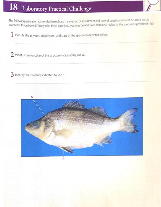 Proper Submission of Fish for Laboratory Analysis - Alabama