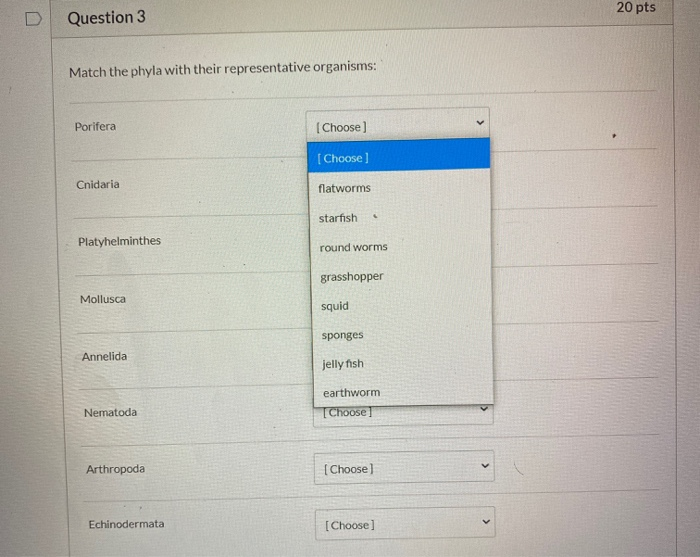 Solved 20 pts Question 3 Match the phyla with their | Chegg.com