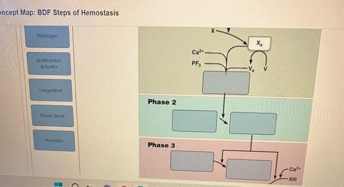 ncept Map: BDF Steps of Hemostasis