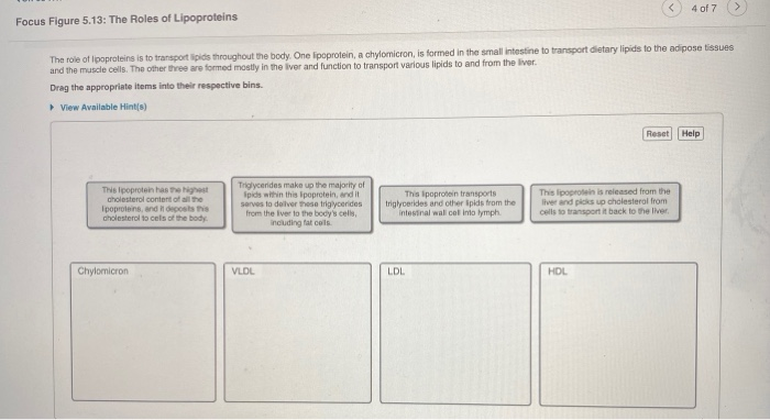Solved Focus Figure 5.13: The Roles of Lipoproteins 4 of 7 > | Chegg.com