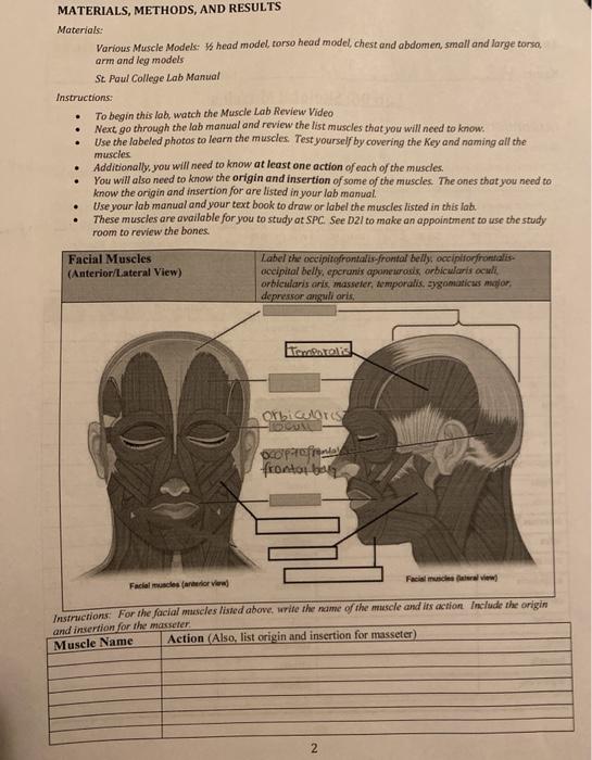 04105 Ca Understanding The Meaning Of Muscle Names Chegg Com