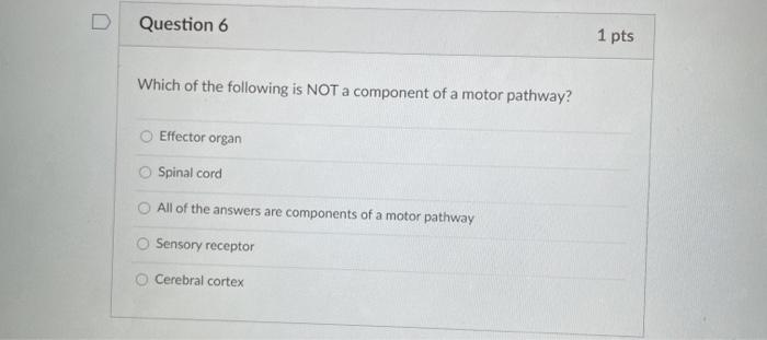 Solved D Question 6 1 pts Which of the following is NOT a | Chegg.com