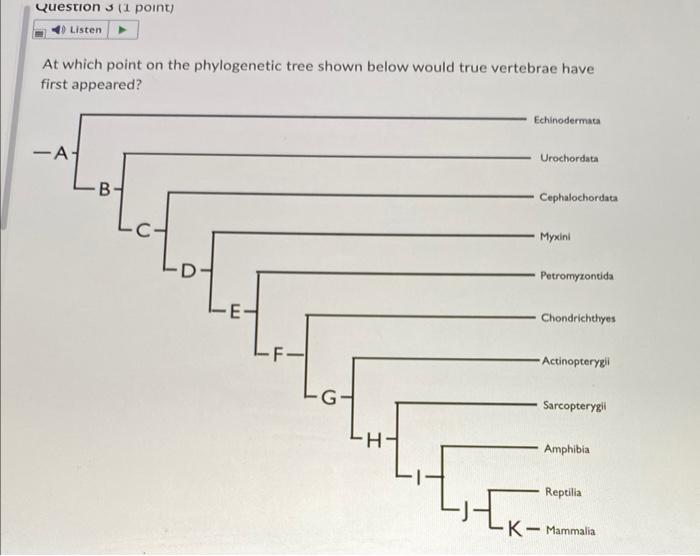 Solved At which point on the phylogenetic tree shown below | Chegg.com