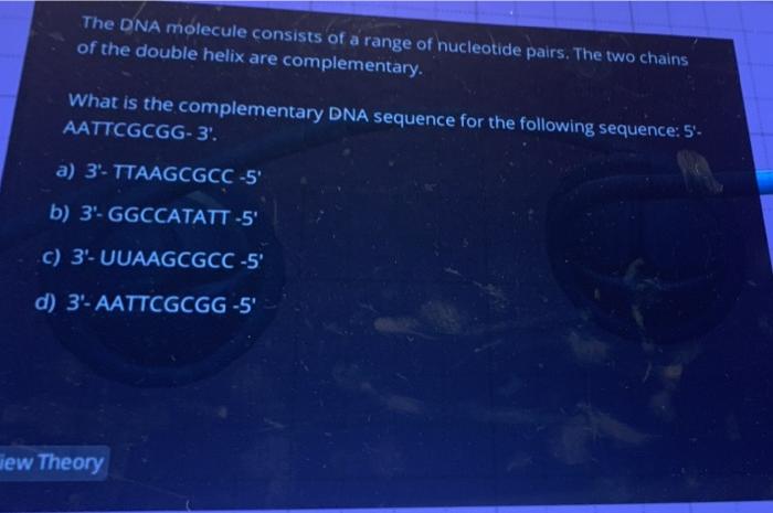 Solved The DNA molecule consists of a range of nucleotide | Chegg.com