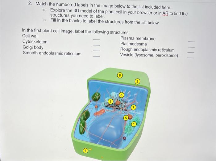 Solved 2. Match the numbered labels in the image below to | Chegg.com