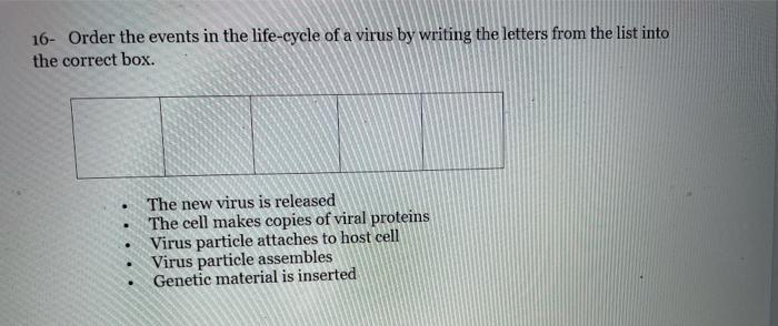 Solved 16- Order the events in the life-cycle of a virus by | Chegg.com