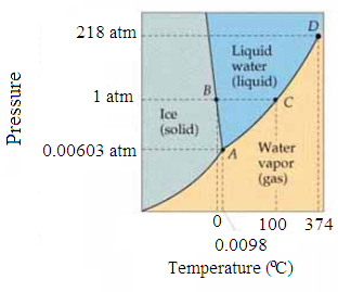 Solved: Phase Diagrams (Section)Referring to Figure describe al ...