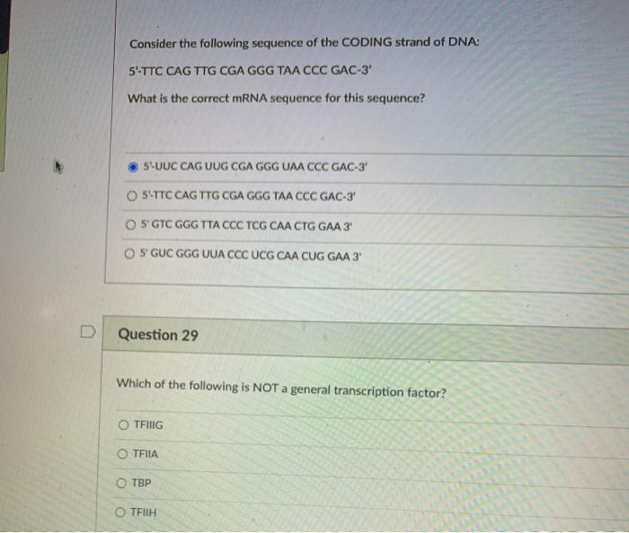 Solved Consider the following sequence of the CODING strand | Chegg.com