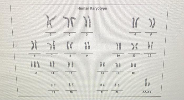 Solved Identify two characteristics about the person to | Chegg.com